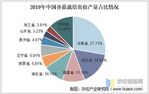 中國香菇產業發展現狀、趨勢與產業聚集度分析——以唐山軟件開發為例的關聯思考